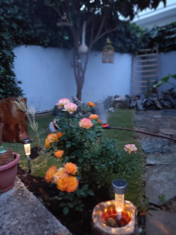 Modern Apartment Near Airport, Port & Beach Nea Alikarnassos ภายนอก รูปภาพ